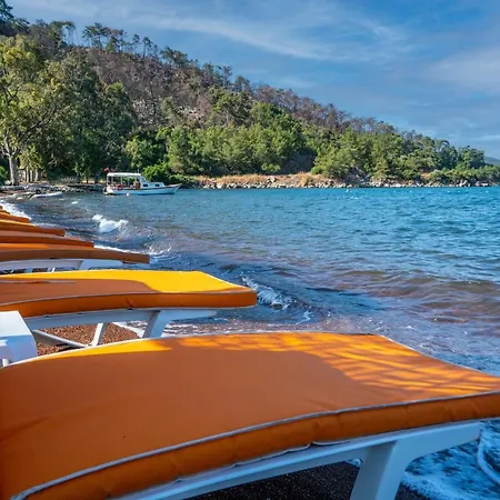 Kensington Kerdime * マルマリス